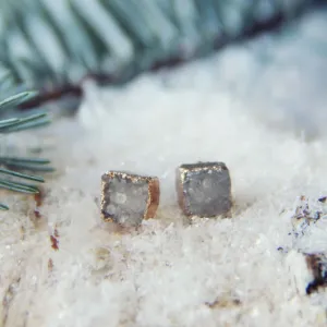 Spruce Stone Earrings